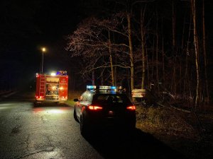 Zdjęcie w późnych godzinach wieczornych, na drodze radiowóz i wóz straży pożarnej. Z prawej strony auto w rowie