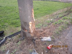 drzewo uszkodzone po wypadku