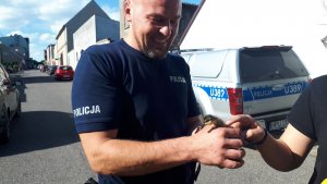 policjant trzyma kaczuszkę