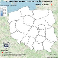 Mapa Polski - obrys województw.