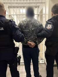 Policjanci z lewej i prawej strony, w środku mężczyzna z który jest w trakcie doprowadzania do radiowozu. Zdjęcie wykonane od tyłu.